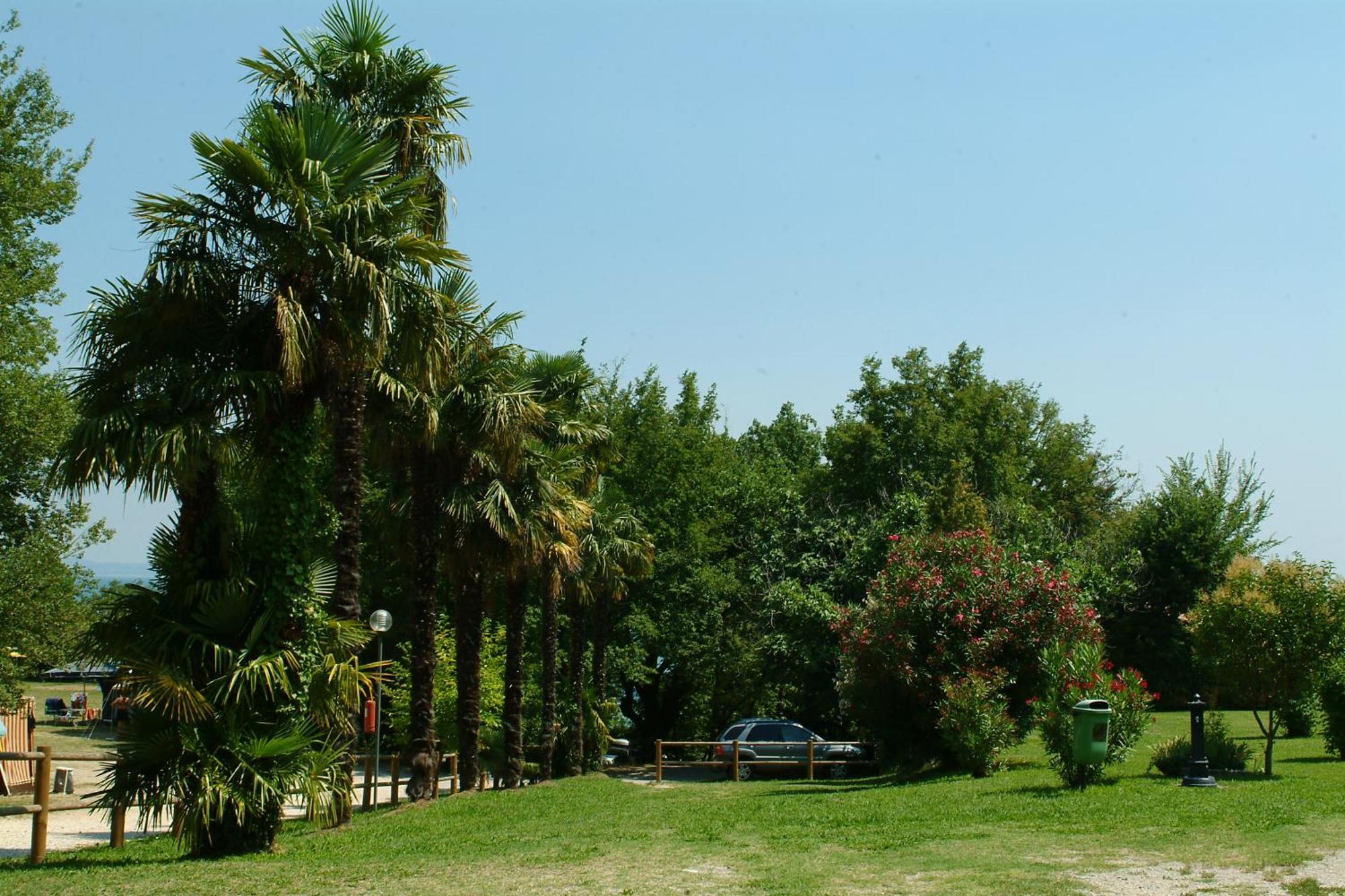 Camping Zocco Manerba del Garda Exteriör bild