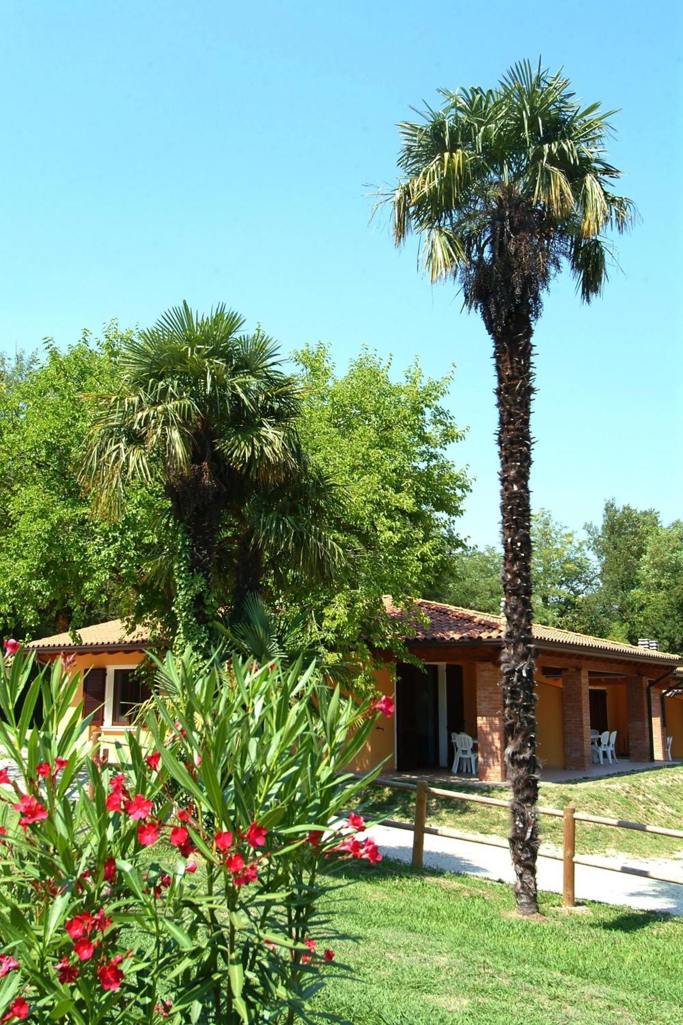 Camping Zocco Manerba del Garda Exteriör bild
